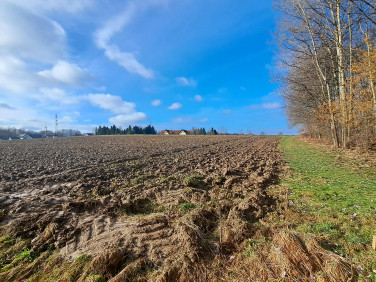 Działka budowlana Bielsko-Biała sprzedam