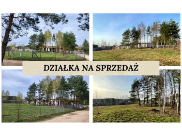 Działka budowlana przy lesie Ludwikowo