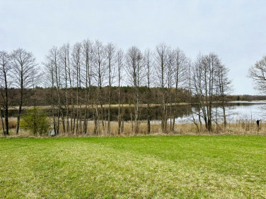 Działka Hołny Mejera