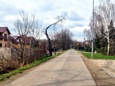 Działka Sokolniki