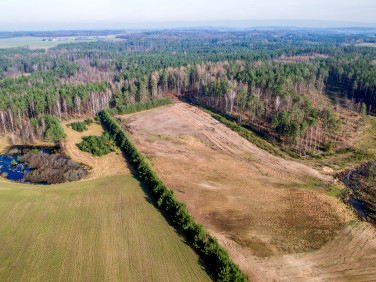 Działka inwestycyjna Zakrzewo sprzedam