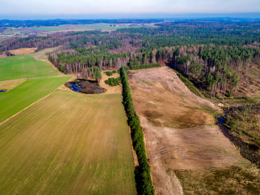 Działka Zakrzewo