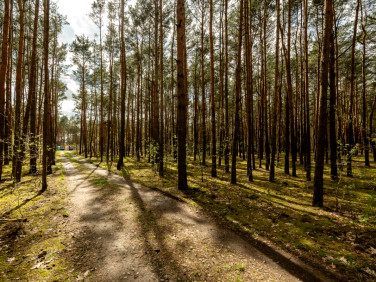 Działka Sulejówek