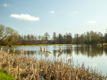 Działka Boczki Domaradzkie