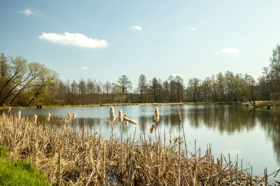 Działka Boczki Domaradzkie