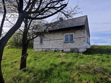 Dom Lubenia sprzedaż