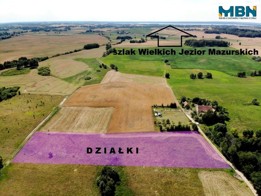 Zdjęcie 3