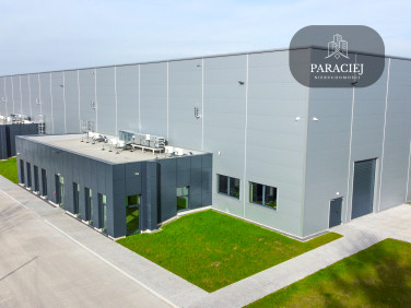 Lokal Bolesławiec wynajem