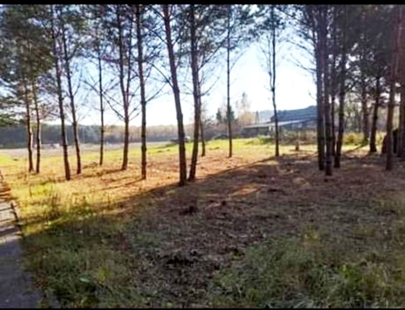 Działka budowlana Obrowo