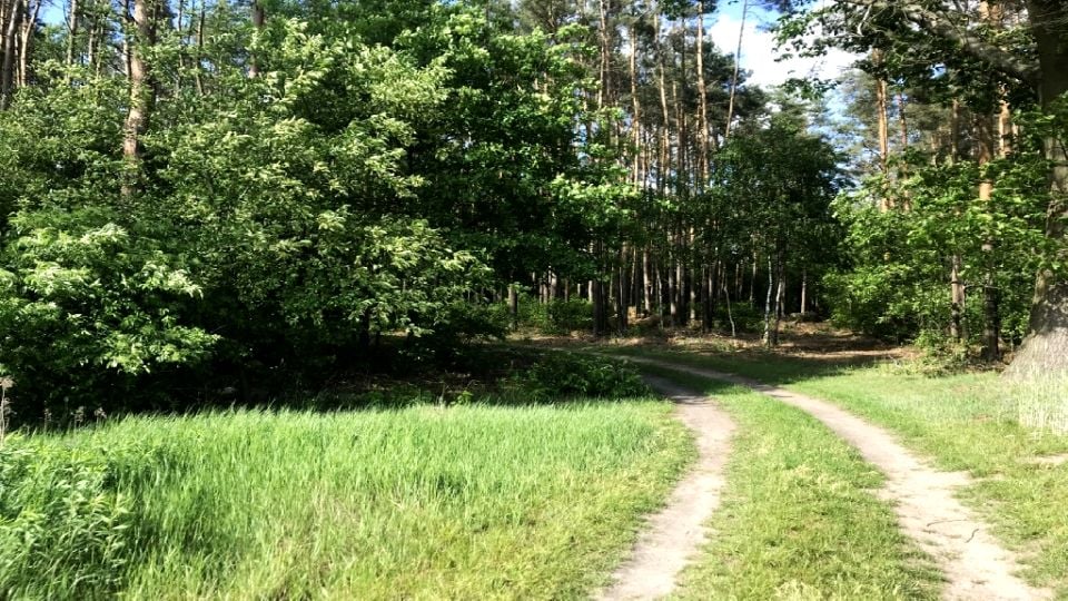Działka budowlana osiek