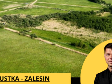 Działka rolna Lędowo