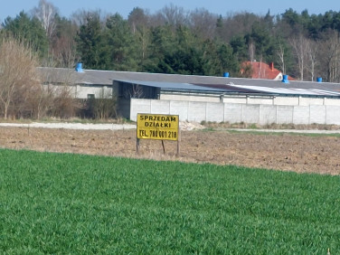 Działka budowlana Gola Wąsoska