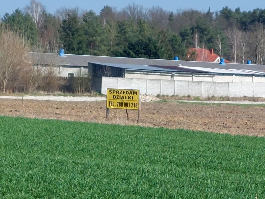 Działka budowlana Gola Wąsoska