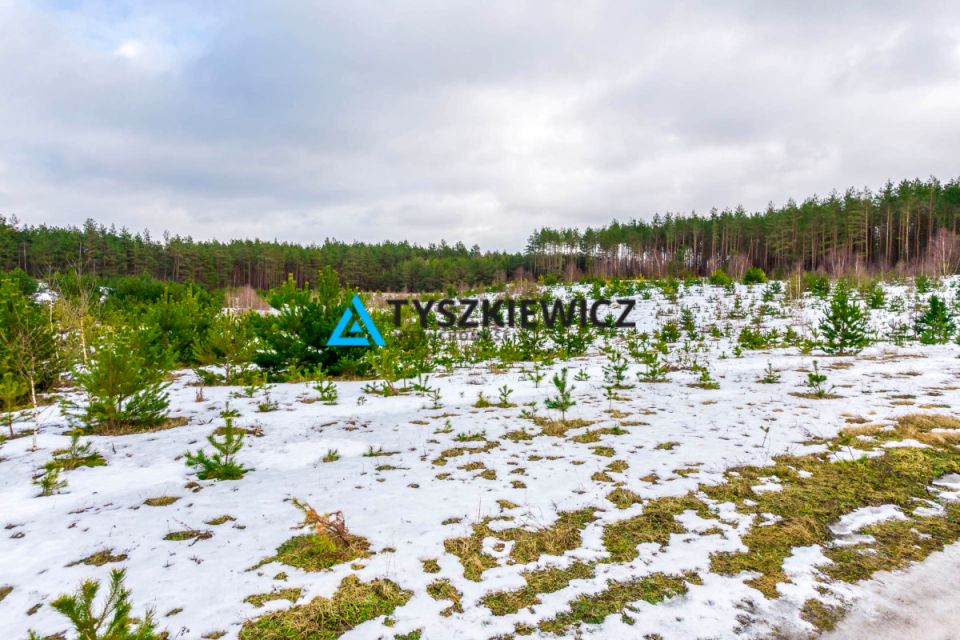Działka budowlana Nowa Kiszewa