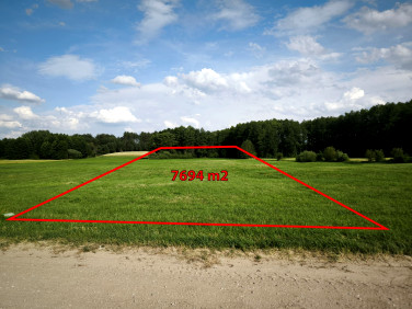 Działka rolno-leśna Knyszyn