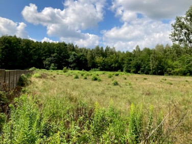 Działka budowlana Aleksandrów Łódzki