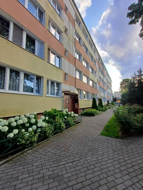 Mieszkanie Konin