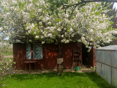 Działka rekreacyjna Iława