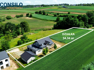 Dom Wilków