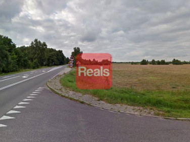 Działka Dąbrówka