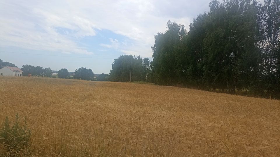 Działka inna Paniówki