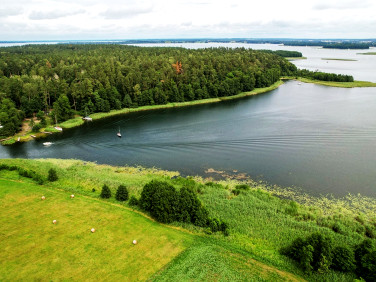 Działka Guty