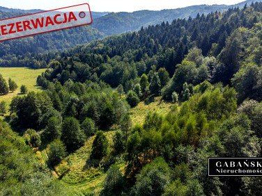 Działka Słona