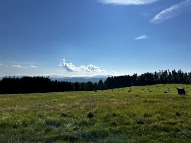 Działka inna Rogówek