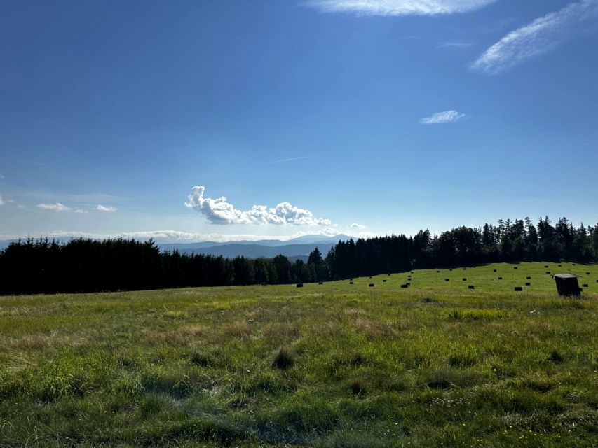 Działka inna Rogówek