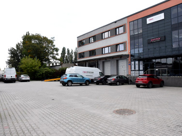 Lokal Kraków