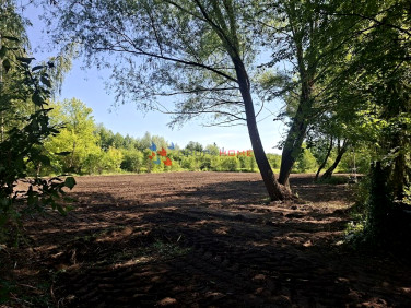 Działka Brwinów