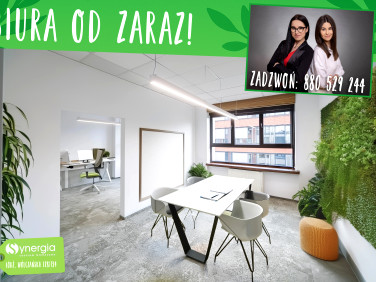 Lokal Łódź