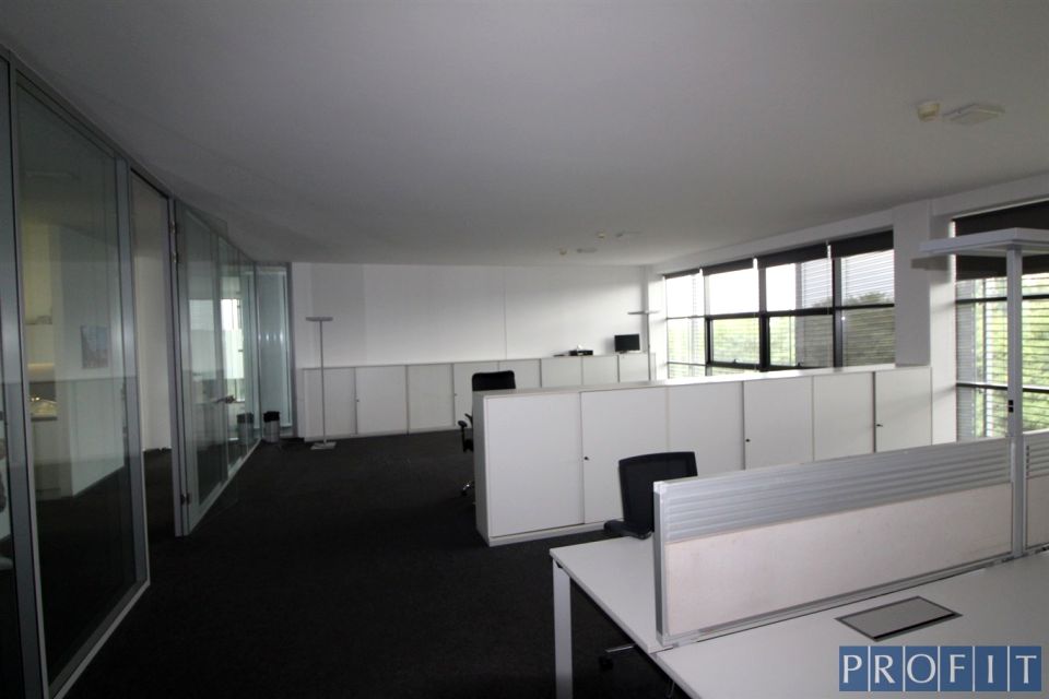 Lokal Katowice