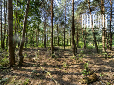 Działka Hornówek