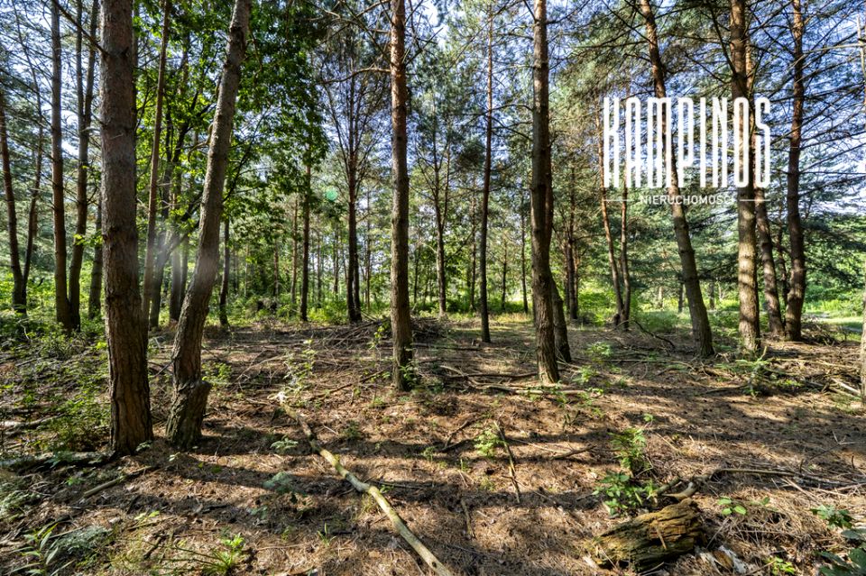 Działka Hornówek
