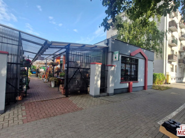 Lokal Włocławek