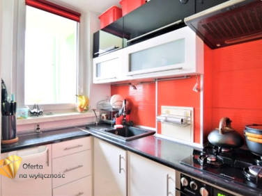 Mieszkanie blok mieszkalny wynajem