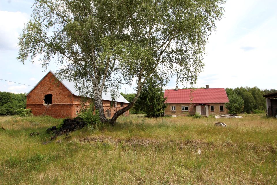 Działka rolna Muchocin