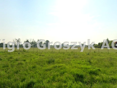 Działka rolna Leszno