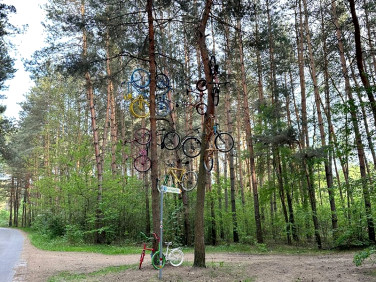 Działka Wierzchlas