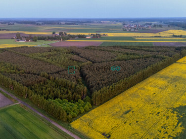 Działka Mochnate