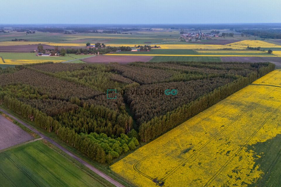 Działka Mochnate
