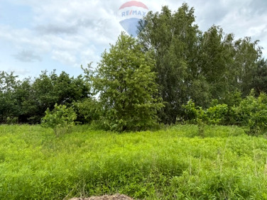 Działka przy lesie