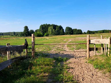 Działka budowlana Brzózki