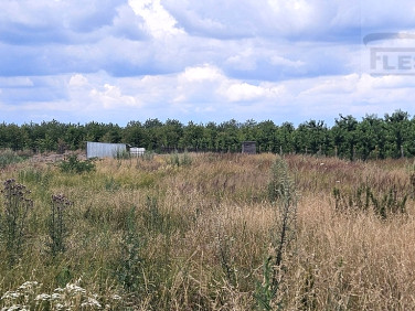 Działka Suchodół