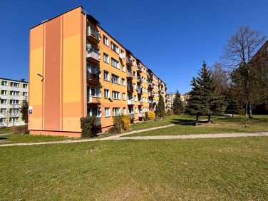 Mieszkanie Piotrków Trybunalski
