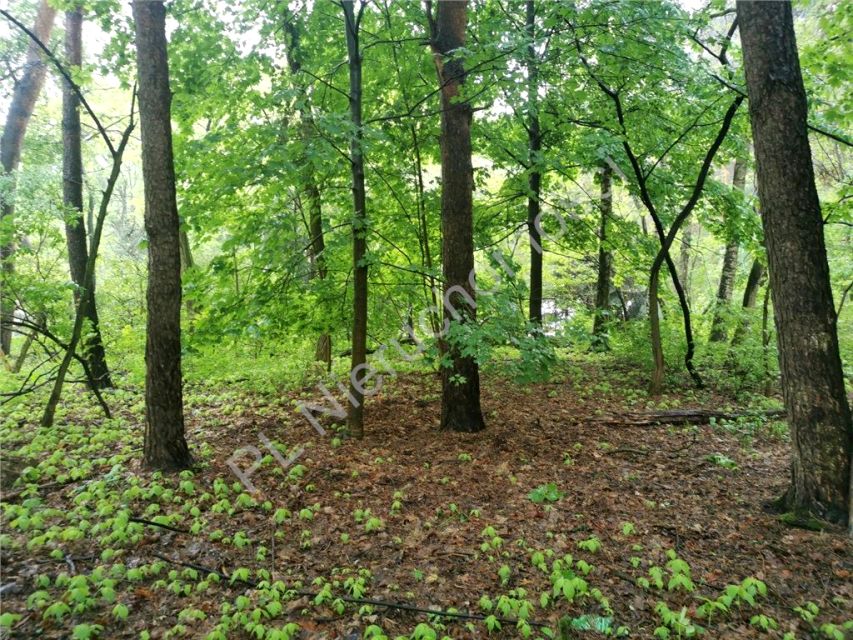 Działka Książenice