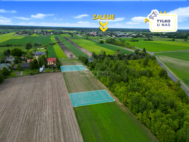 Działka Zalesie