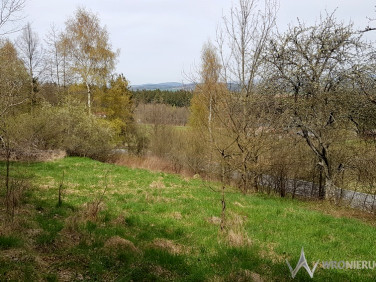 Działka budowlana Chocieszów