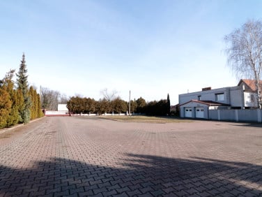 Działka Gniezno